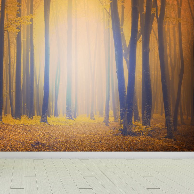 Papier peint Mural imprimé paysage, couleur douce, décoration murale contemporaine pour intérieur de maison