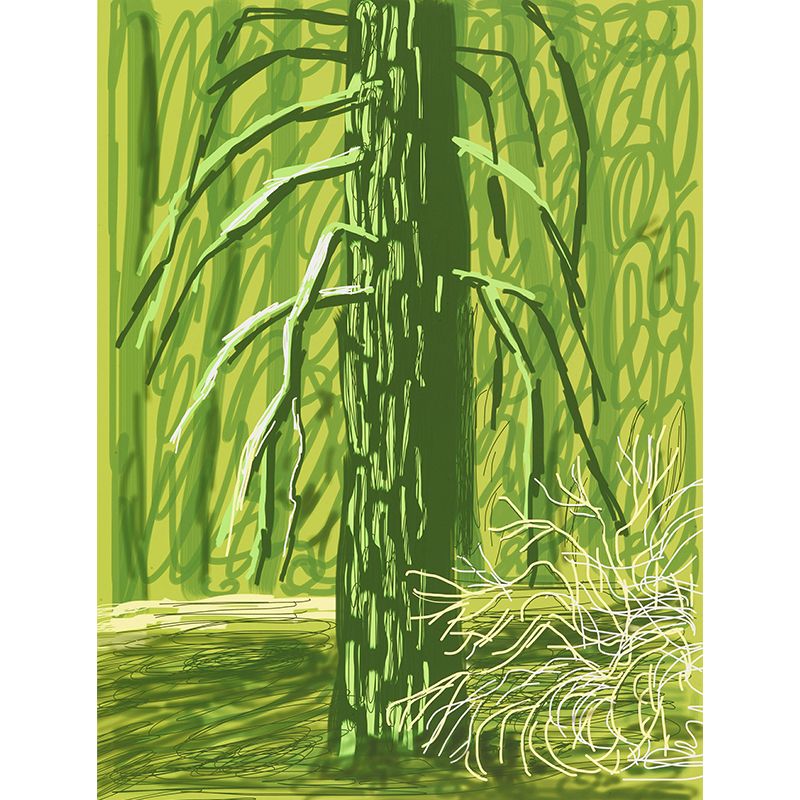 Bare Tree Trunk Wall Murals Artistry Stain Resistant Bedroom Wall Decoration, Custom Made