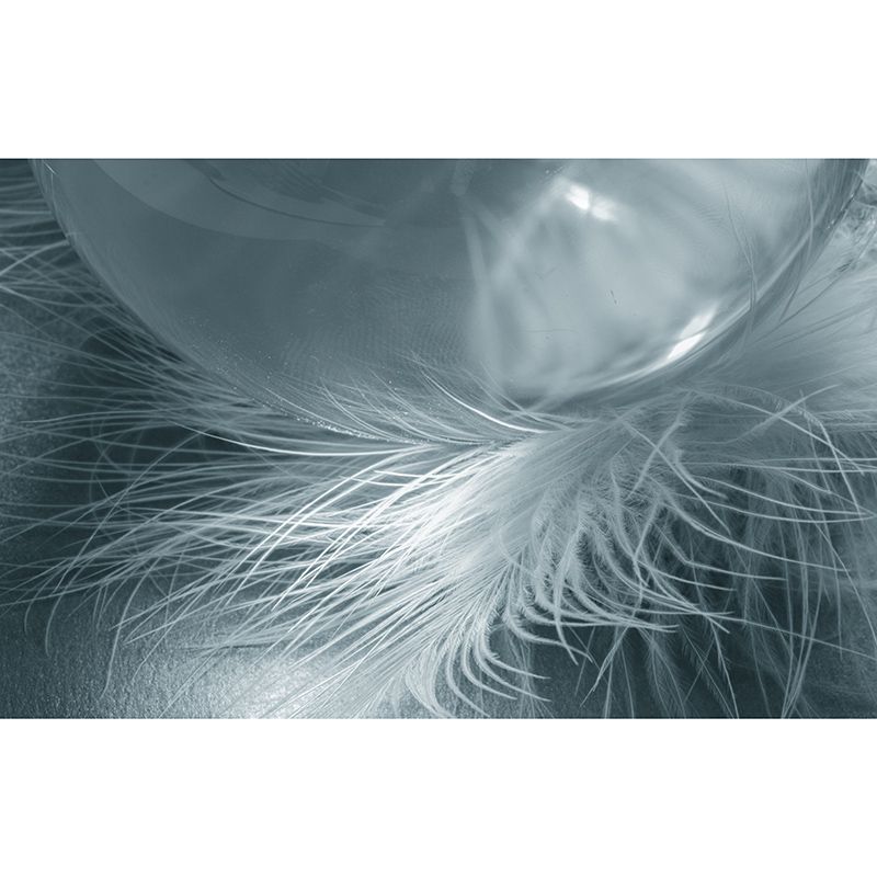 Feather Mural Wallpaper for Wall Decor Contemporary Girls Room Wall Art