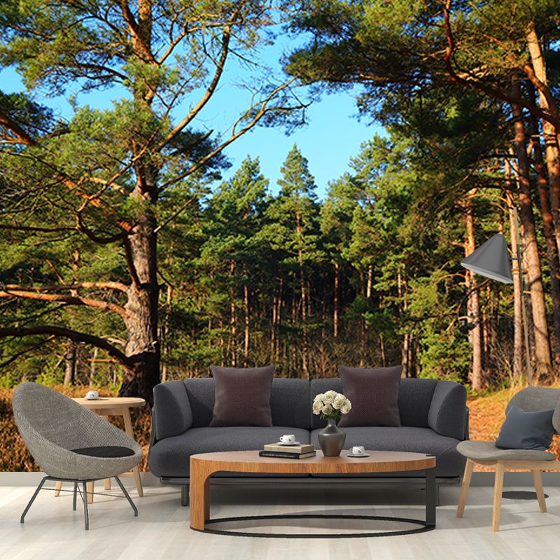 Forest Trees View Mural Moisture Resistant Contemporary Bedroom Wall Covering