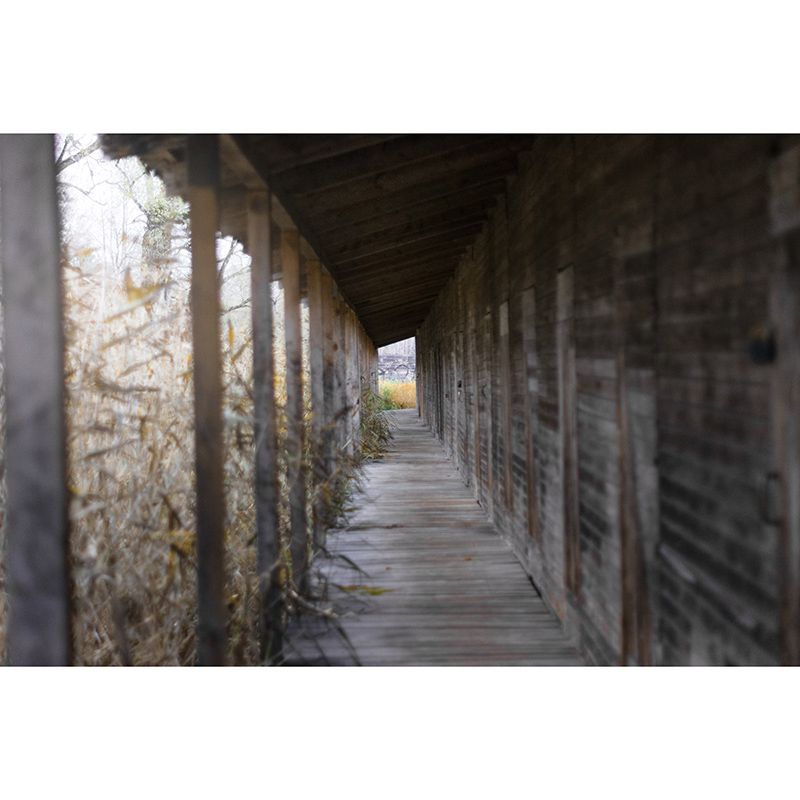 Photography Environment Friendly Mural Wallpaper Pathway Bedroom Wall Mural