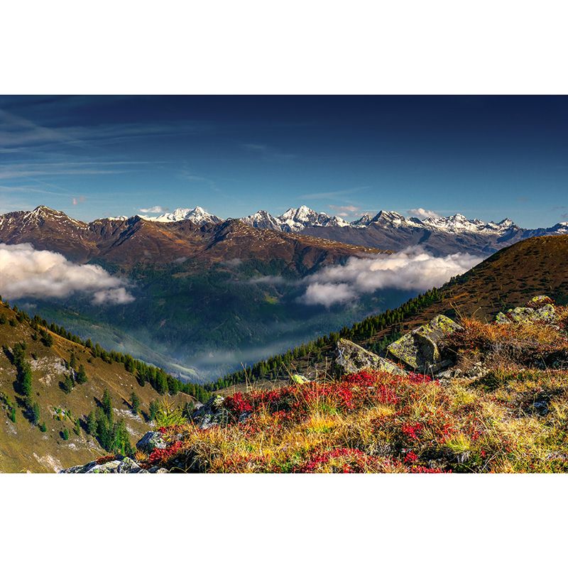 Mountain Landscapes Mural Contemporary Style Mildew Resistant Wall Covering