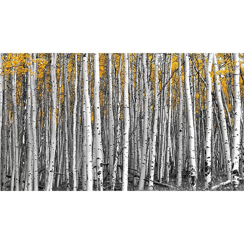 Big Photo Style Simple Mural for Home Decoration with Birch Tree Design in Grey and Yellow
