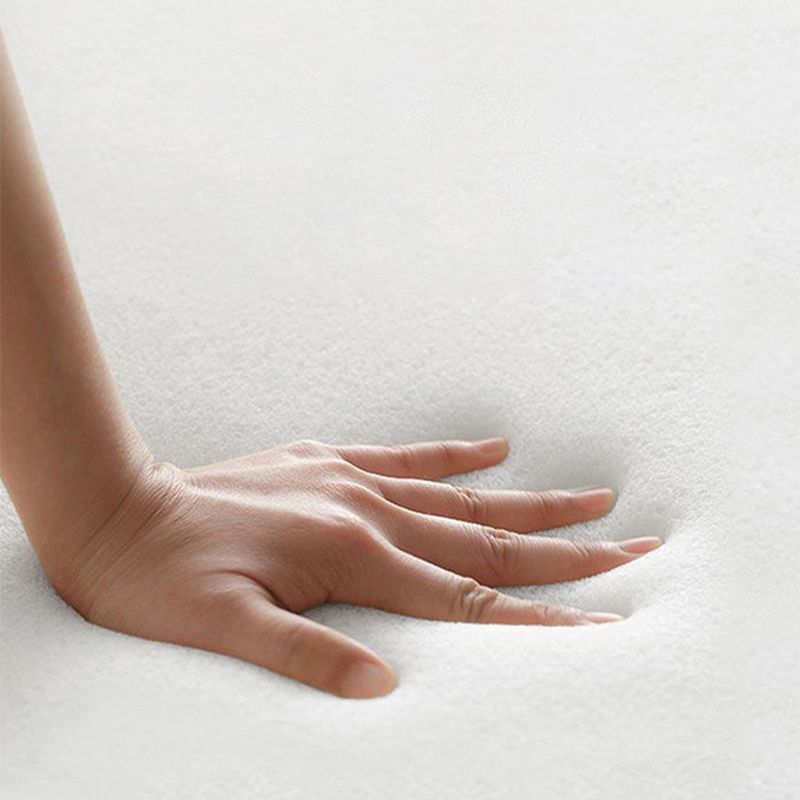 Contemporary 33.46" H Cotton Blend Armless Sleeper Sofa Bed in Beige