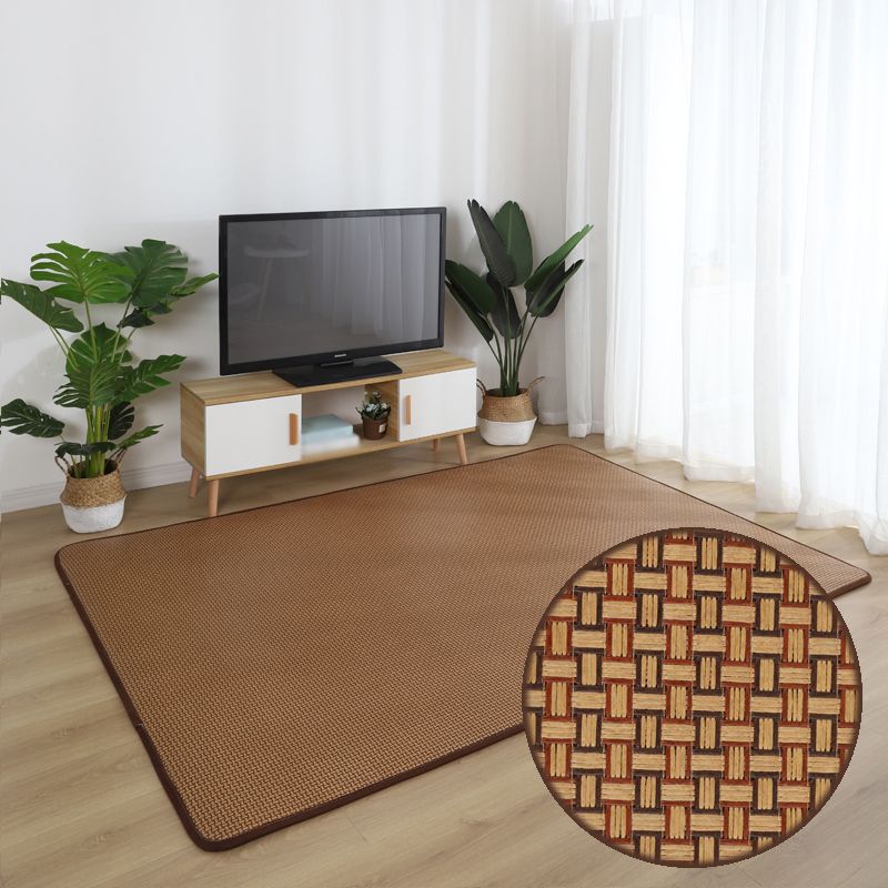 Brown Sisal Rug Polyester Countryside Rug Washable Rug for Living Room