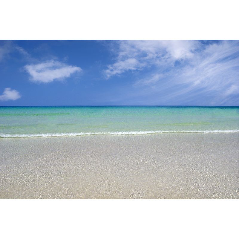 Beach Landscape Murals for Sleeping Room Home Decor, Moisture Resistant