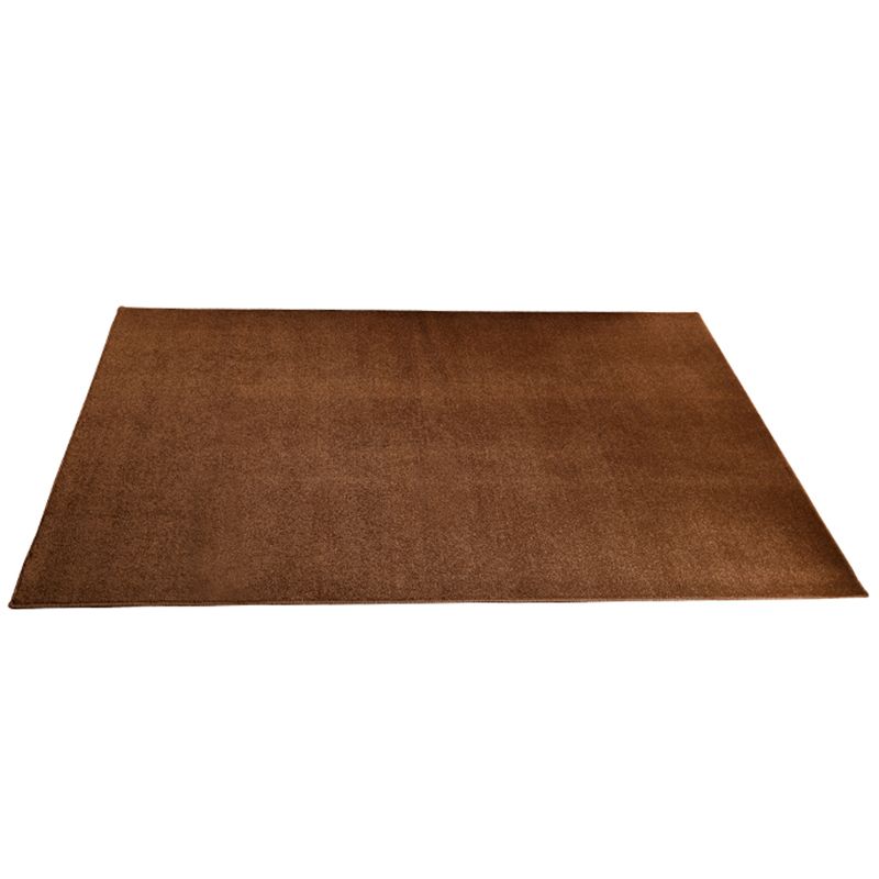 Brown Area Carpet Pure Color Polyester Area Rug Easy Care Washable Rug for Living Room