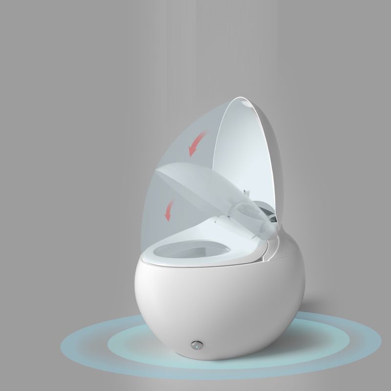 Modern Siphon Jet Toilet Floor Mounted Toilet Bowl All In One Flush Toilet