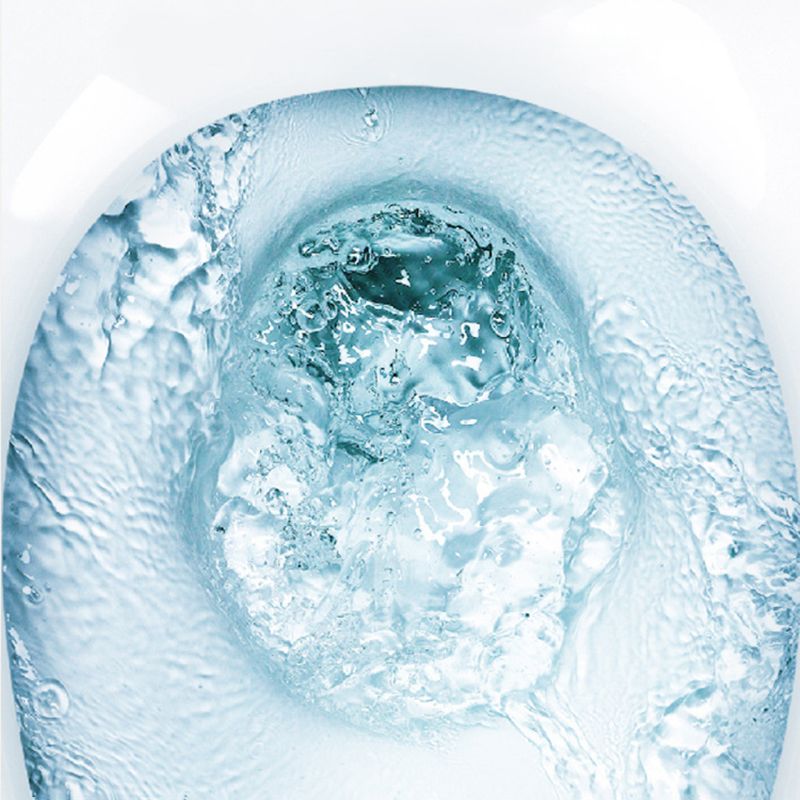 Modern Ceramic Toilet One Piece Flush Toilet with Toilet Seat