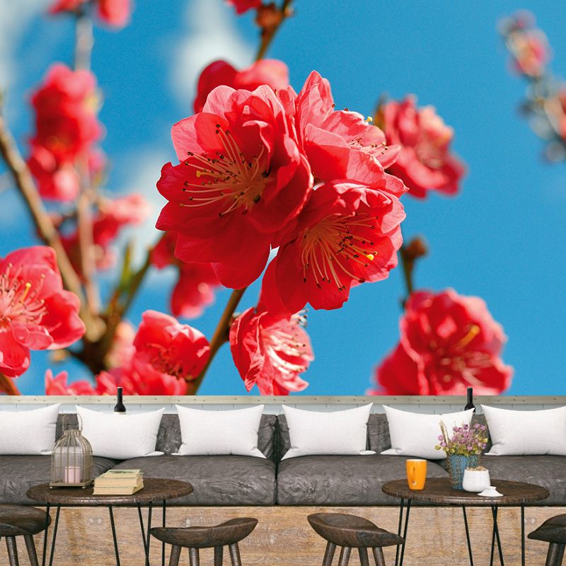 Peach Flower Blooming Wall Mural Photography Modern Living Room Wall Covering