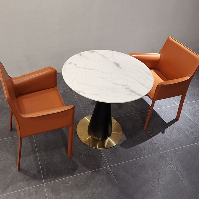 Silla de comedor individual con respaldo sólido y acabado mate de cuero con silla de montar para el hogar de estilo diseñador