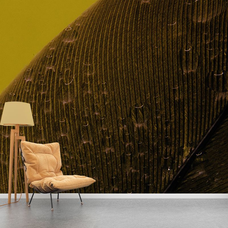 Horizontal Photography Feather Mural Eco-friendly Decorative Wallpaper Home Decor