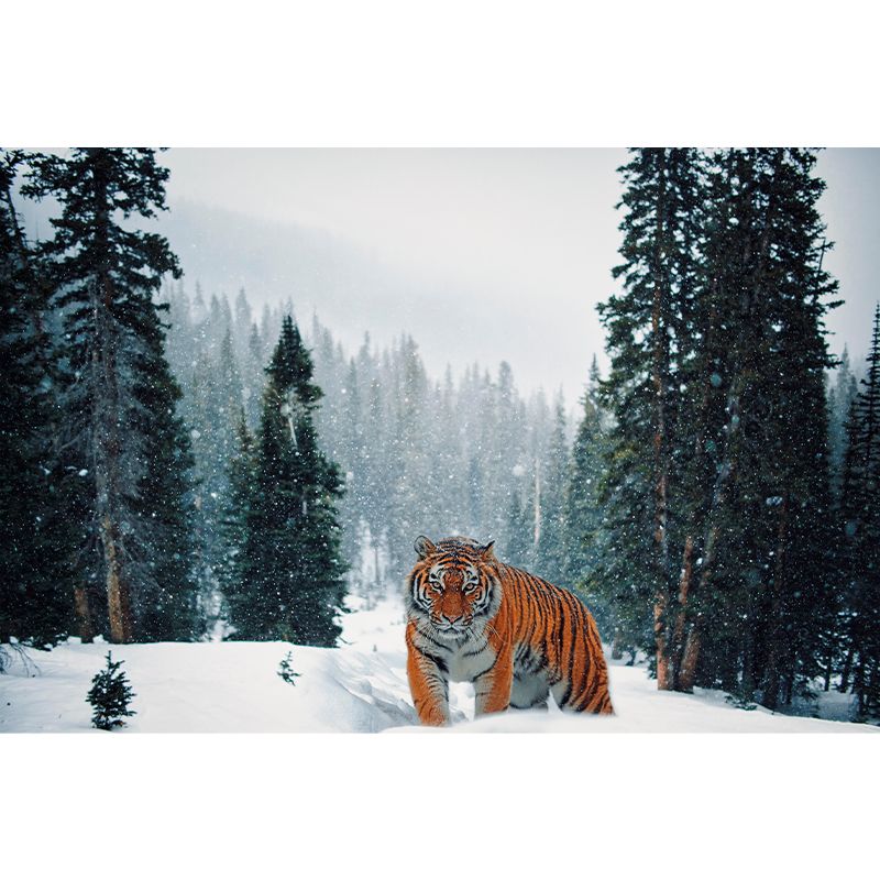 Customized Tiger Wall Paper Murals Mildew Resistant Living Room Wall Decor