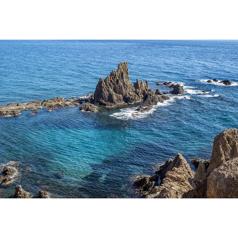 Photography Sea Mural Wallpaper for Dining Room Wall Covering in Soft Color