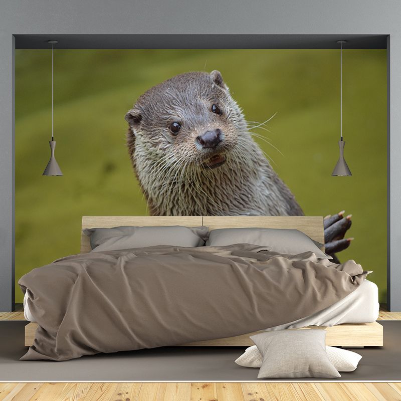 Lovely Otter Mural Wallpaper Photography Horizontal Wall Decor for Home