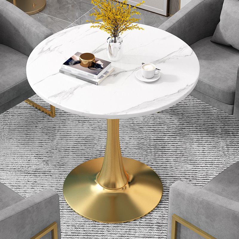 Fixed Dining Table Traditional Luxury Dining Site Table for Dining Room