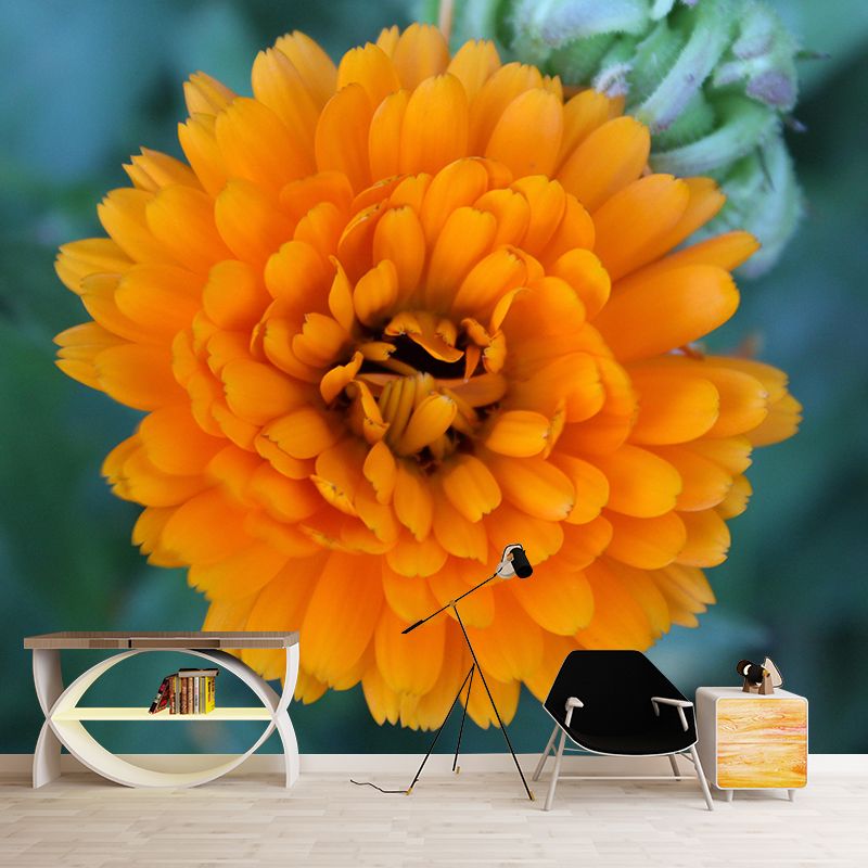 Customized Contemporary Marigold Mural Mildew Resistant for Sitting Room Bedroom