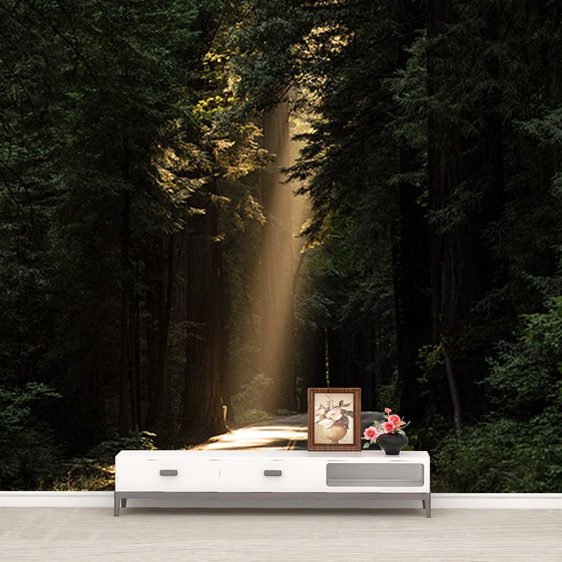 Modern Style Wall Mural Wallpaper Quiet Forest Sitting Room Wall Mural