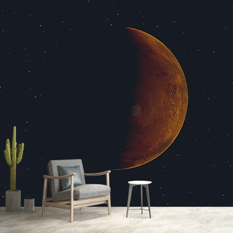 Photography Stain Resistant Mural Wallpaper Galaxy Living Room Wall Mural