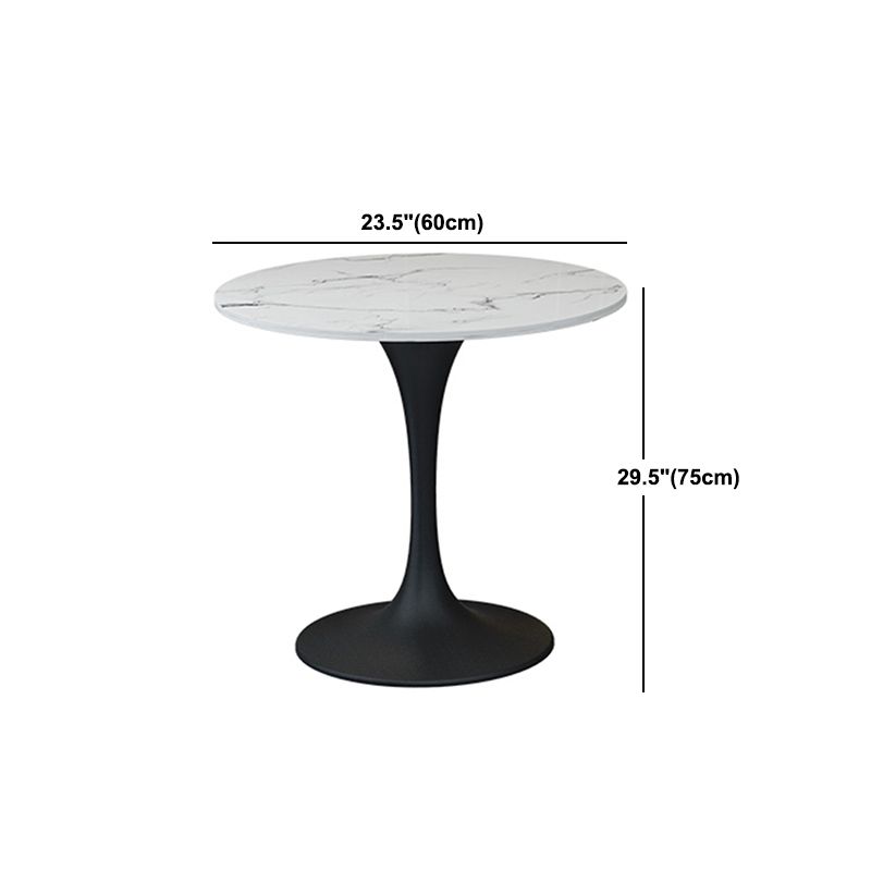 Modern Sintered Stone Dining Table Set 1/2/4/5 Pieces Dining Set