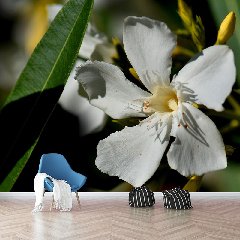 Customized Oleander Flower Wall Mural Horizontal Photography for Sleeping Room