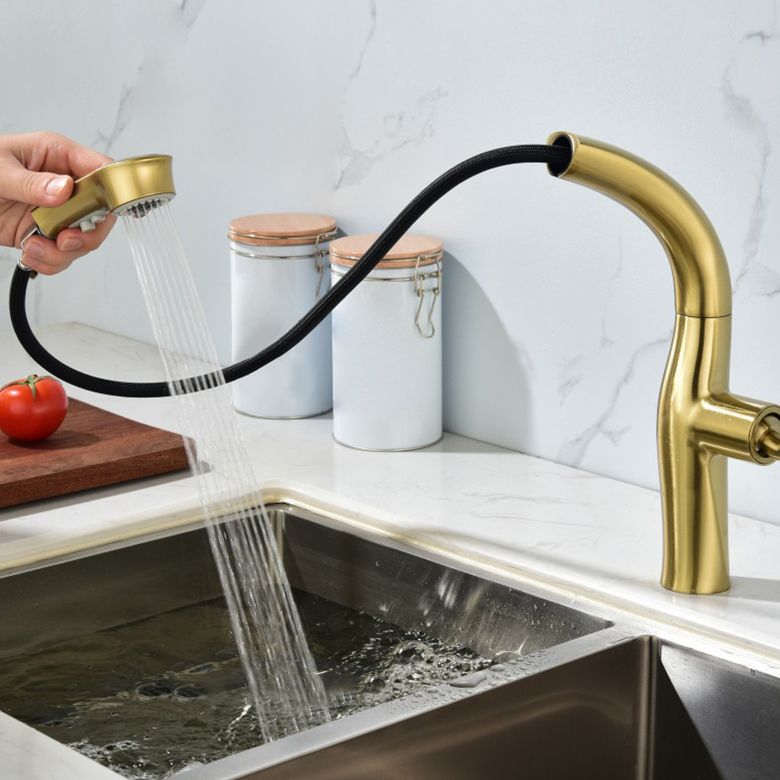 Contemporary Single Handle Kitchen Faucet Pull Out Desk Mounted Faucet