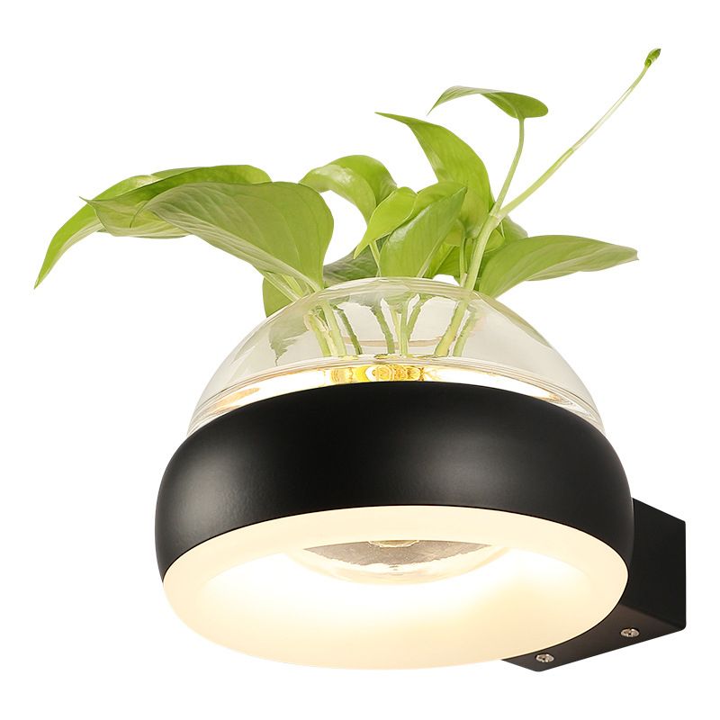 Modern Creative Plant Wall Sconce Light Glass Pot with Acrylic LED Wall Mount Lamp