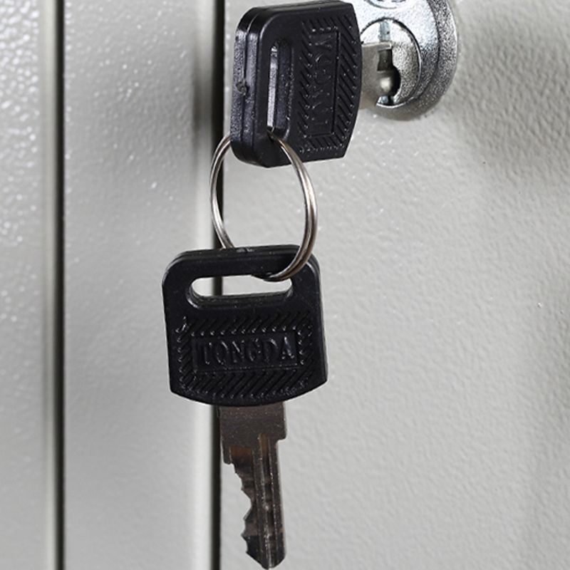 Steel Storage Cabinet for Bathroom Contemporary Cabinet with Hinged Door