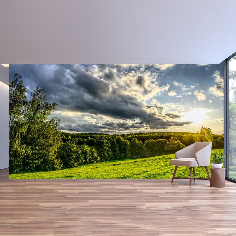 Contemporary Photography Forest Wall Mural Wallpaper Living Room Wall Art