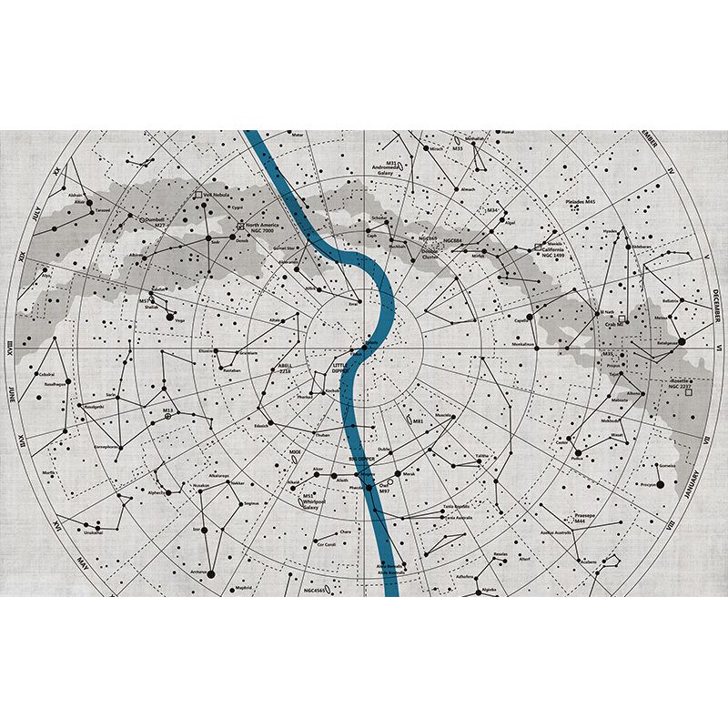 World Map Mural in Pastel Grey, Minimalist Wall Decor for Accent Wall