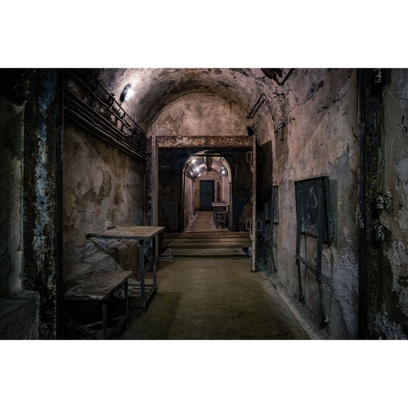 Spatial Extension Wall Mural Decal for Living Room Washable, Custom Size Available