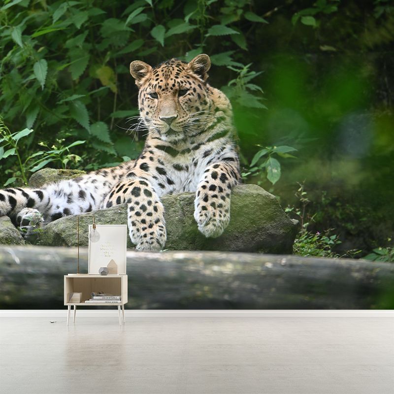 Amur Leopard  Mural Decal Eco-friendly Wallpaper Customized Wall Covering for Sitting Room