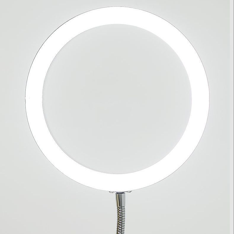 Aluminum O-shaped LED Floor Light Simple Silver Gooseneck Standing Light