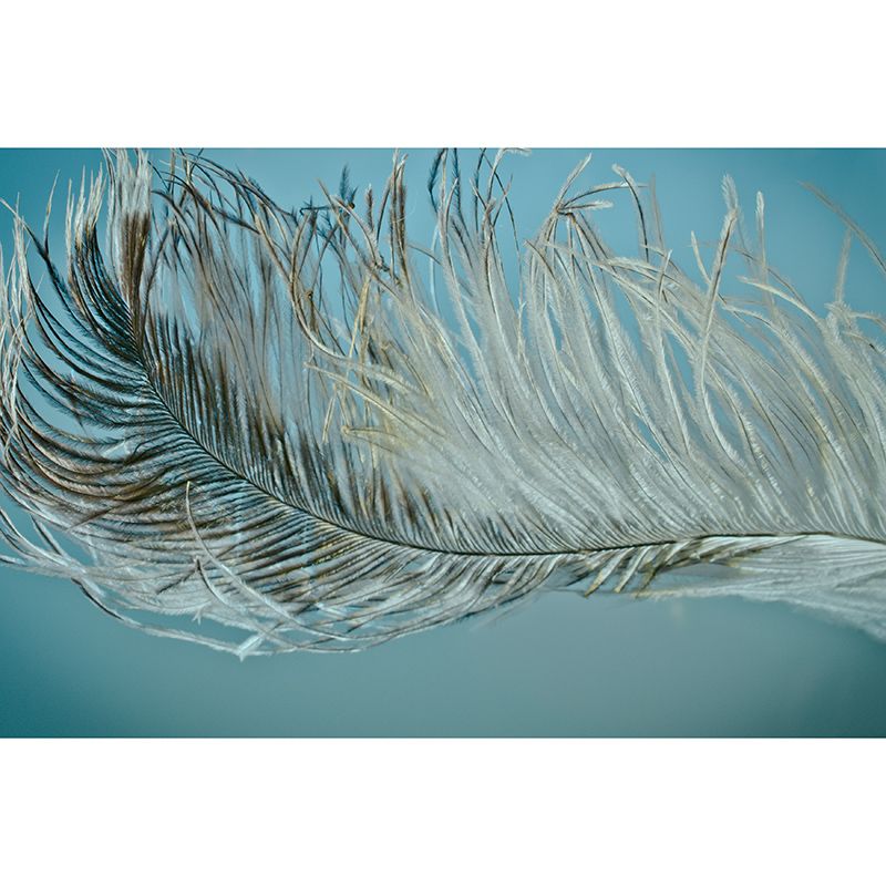 Feather Mildew Resistant Wallpaper Environmental Sleeping Room Wall Mural