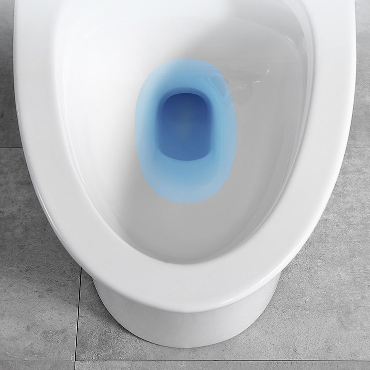 Traditional 1-Piece Toilet Bowl White Urine Toilet with Slow Close Seat for Bathroom