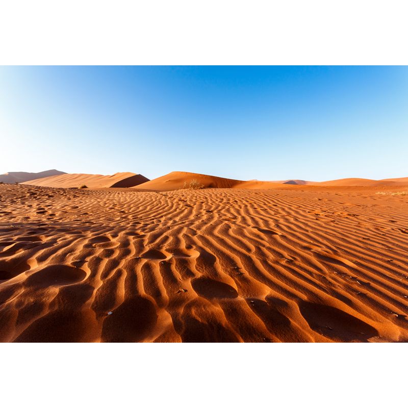 Photo Print Dune Waves Mural Wallpaper for Accent Wall, Yellow, Custom Size Available