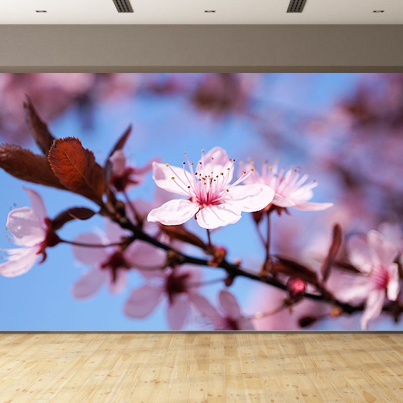 Cherry Blossoms Mural for Living Room Decoration in Pink, Made to Measure