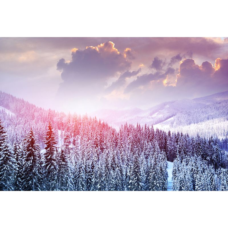 Pink Winter Cypress Mountain Mural Decal Stain Resistant Wall Covering for Accent Wall