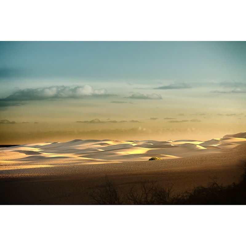 Desert Landscape Mildew Resistant Wallpaper Photography Sleeping Room Wall Mural