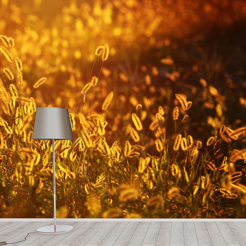 Foxtail Plant Mural Wallpaper Eco-friendly Moisture Resistant for Bedroom Decor