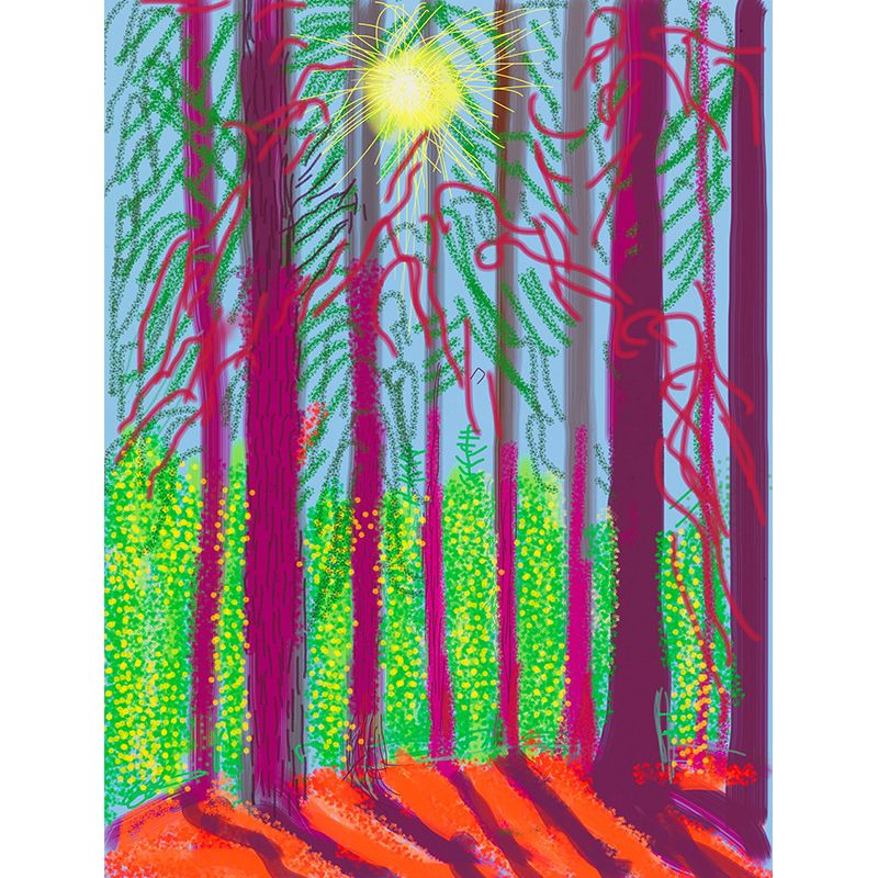 Purple-Green Forest Sunrise Mural Wallpaper Stain Resistant Wall Art for Living Room