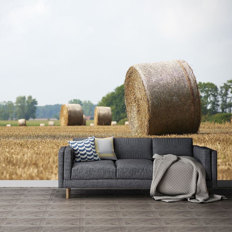 Straw Bales Mural Wallpaper Moisture Resistant Wall Decor for House Interior