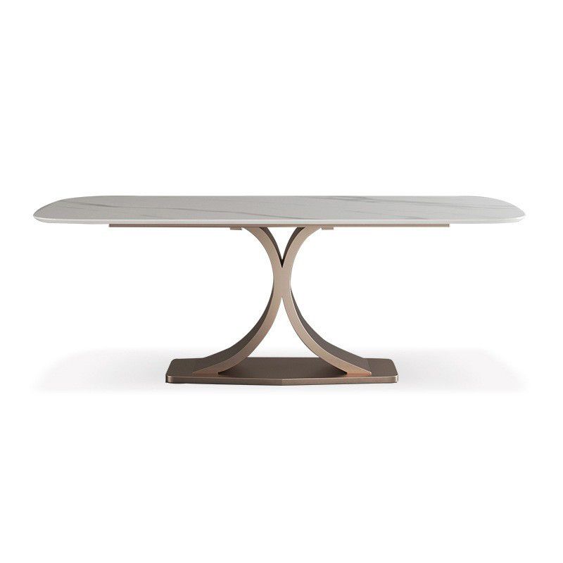 Modern Sintered Stone Top Dining Set Rectangle 1/5/6 Pieces Dining Room Table Set