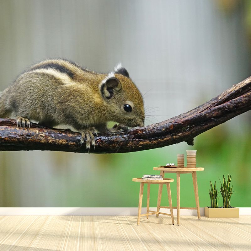 Chipmunk Contemporary Mural Decal Sitting Room Moisture Resistant Wall Decor