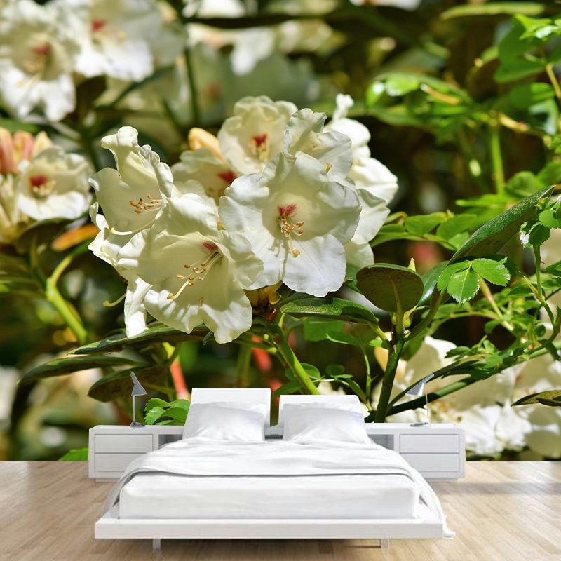 Modern Rhododendron Mural Wallpaper Stain Resistant Wall Covering for Living Room