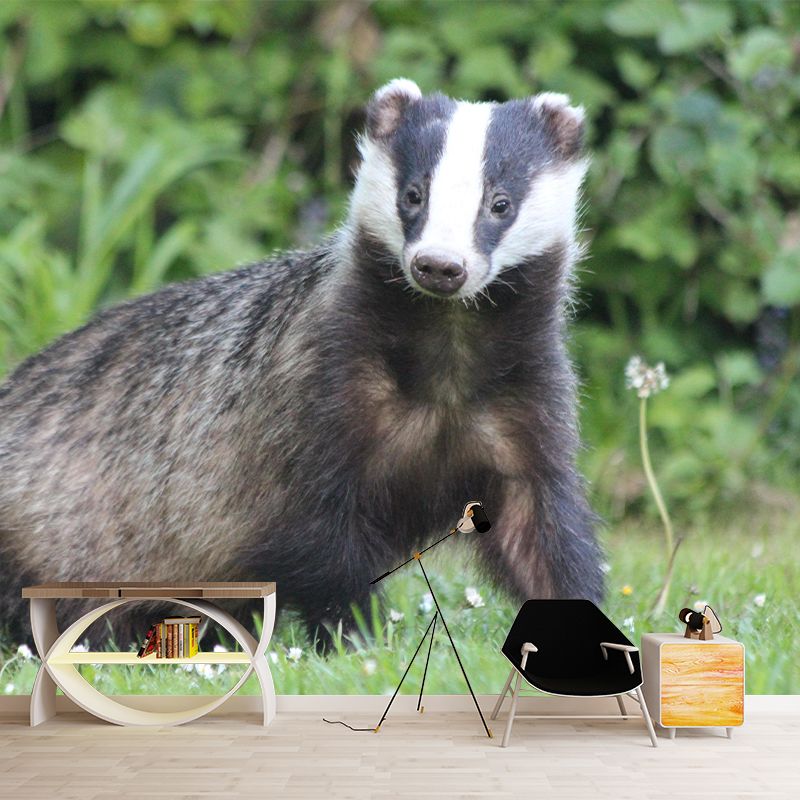 Badger Contemporary Wall Mural Modernist Wall Covering for Bedroom Decor