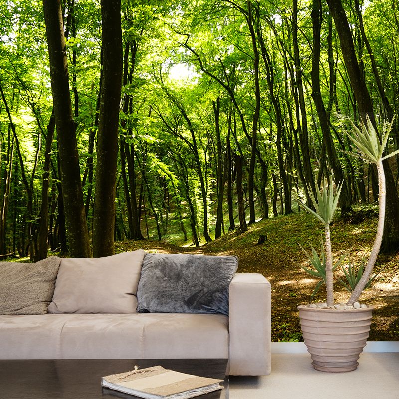Modern Forest Trees Wall Mural for Sitting Room Bedroom Home Decor, Made to Measure