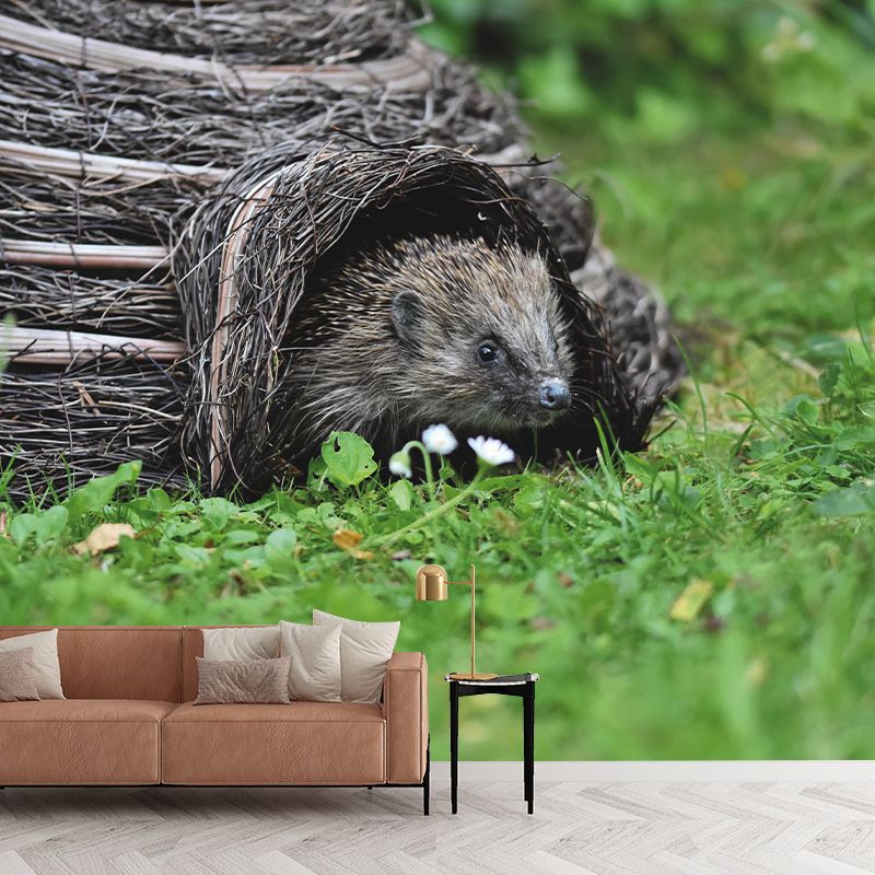 Customized Hedgehog Wall Mural Wallpaper Horizontal Photography for Sitting Room