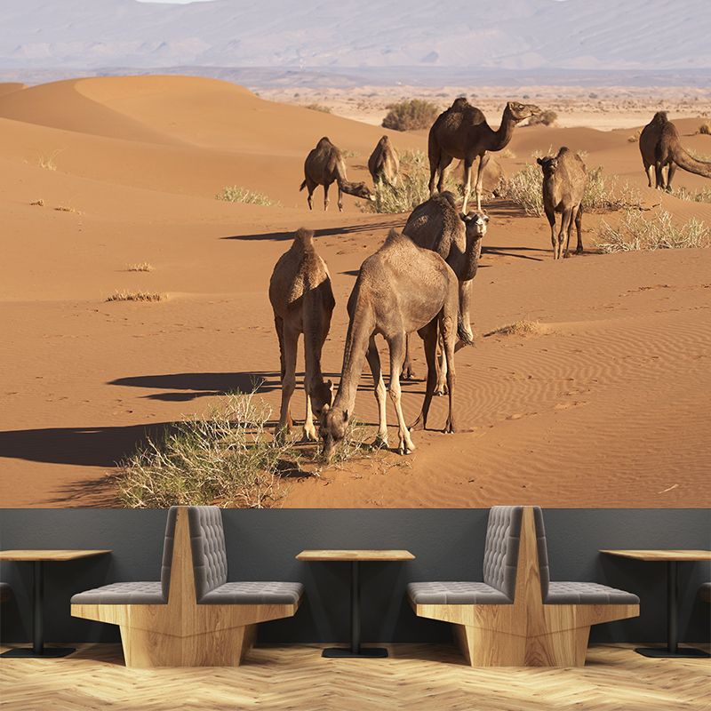 Camel Animal Murals Decal Washable Stain Resistant, Bedroom Wall Decoration