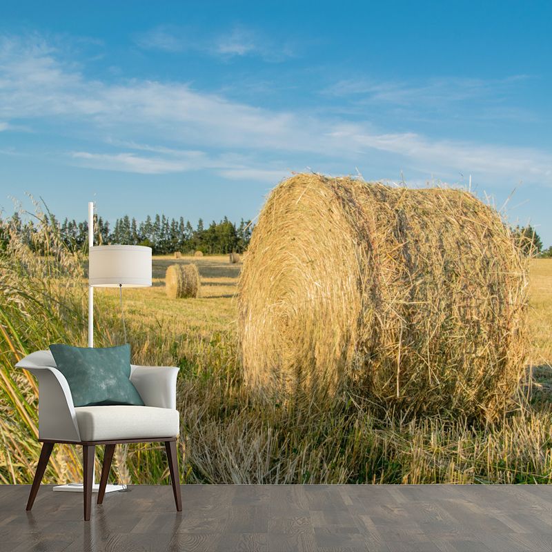 Modern Straw Bale Mural Environment Friendly Wallpaper for Living Room Decoration